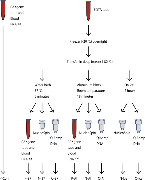 DNA Extraction from Whole Blood 