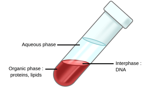 RNA Isolation